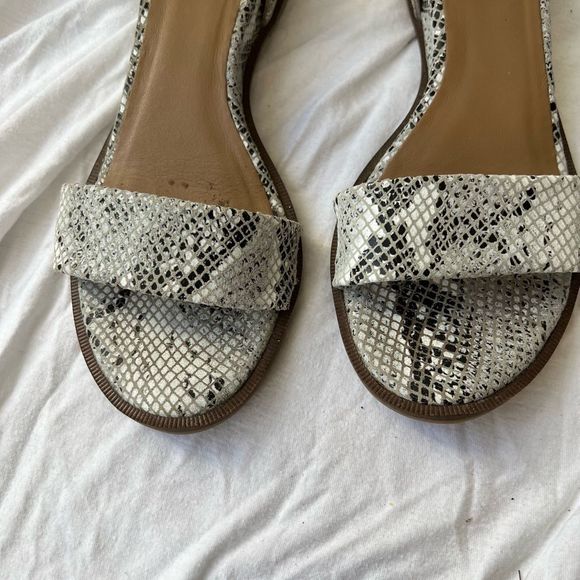 New 💖Seychelles Leather Snake Print Ankle Strap Lofty Sandals - 8.5 - Picture 7 of 12